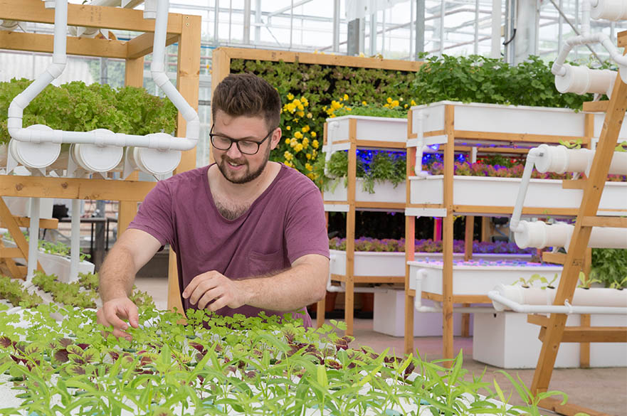 Vertical Farming