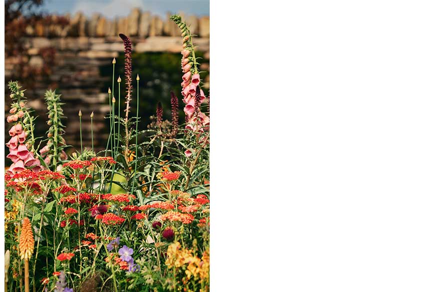 Elements of Sheffield garden