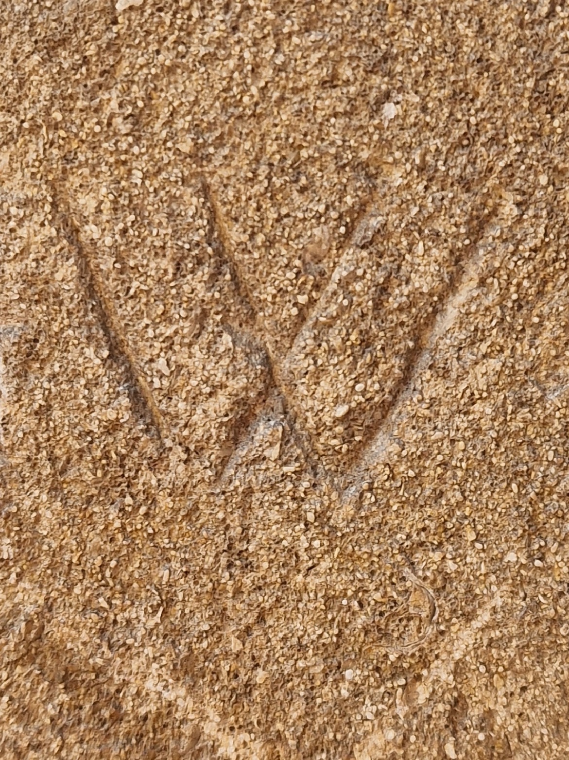 Lincoln cathedral witchmark