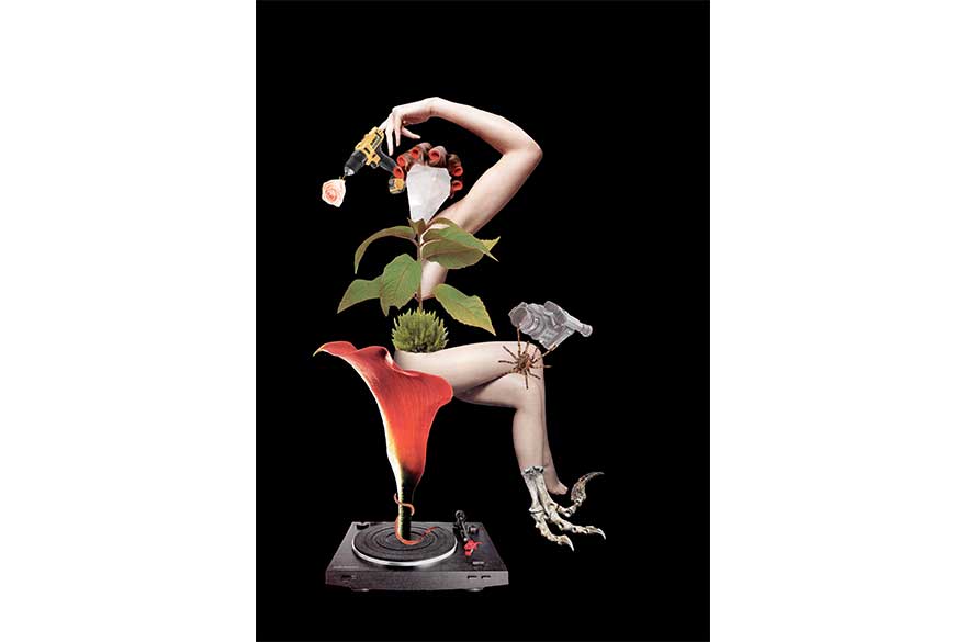 A work from Unfashioned Creatures, Keith Bloody Mary, 2018.
