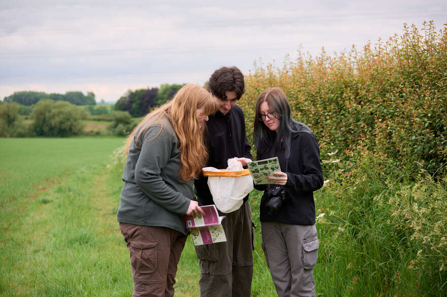Biodiversity Conservation MRes; MSc Postgraduate taught Course ...