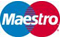 Maestro debit card logo