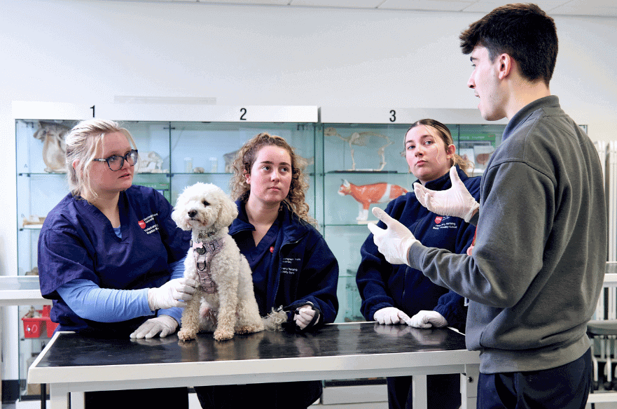 Veterinary Nursing Centre | Nottingham Trent University