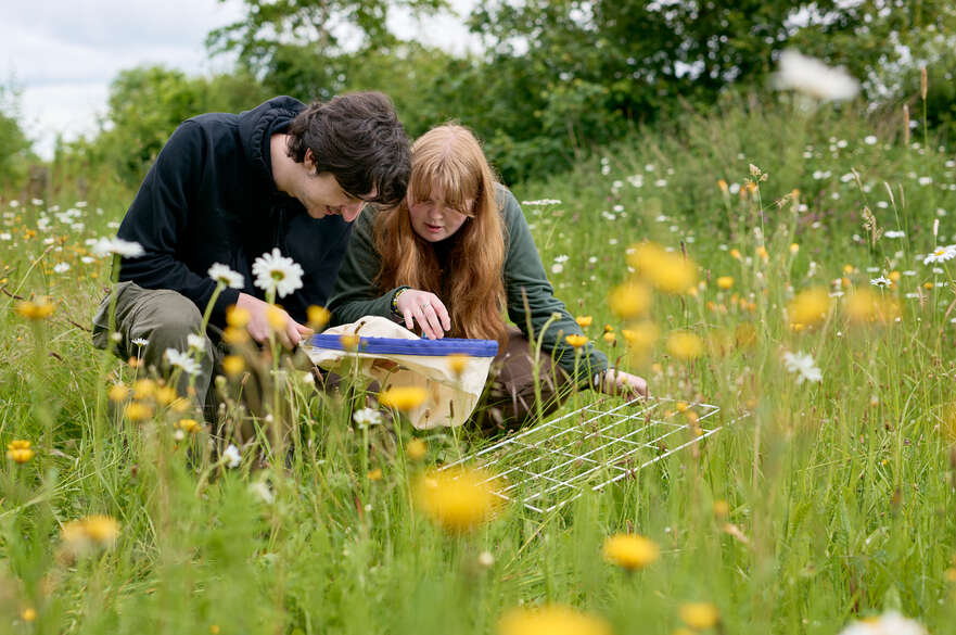 Two students examine the species they've caught in a net in a wildflower meadow.