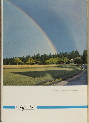 Trees and fields