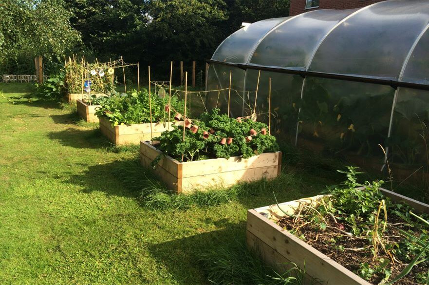 picture of NTU foodshare allotment 