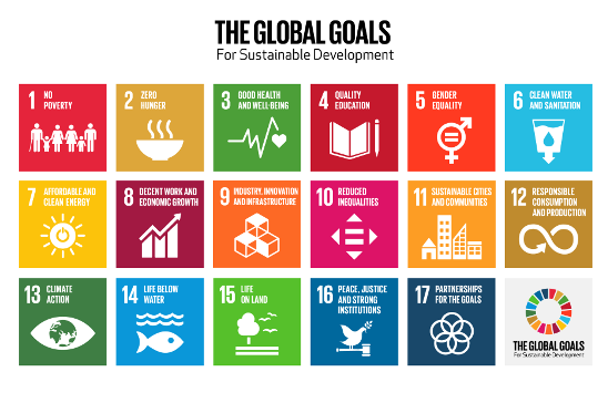 UN Sustainable Development Goals