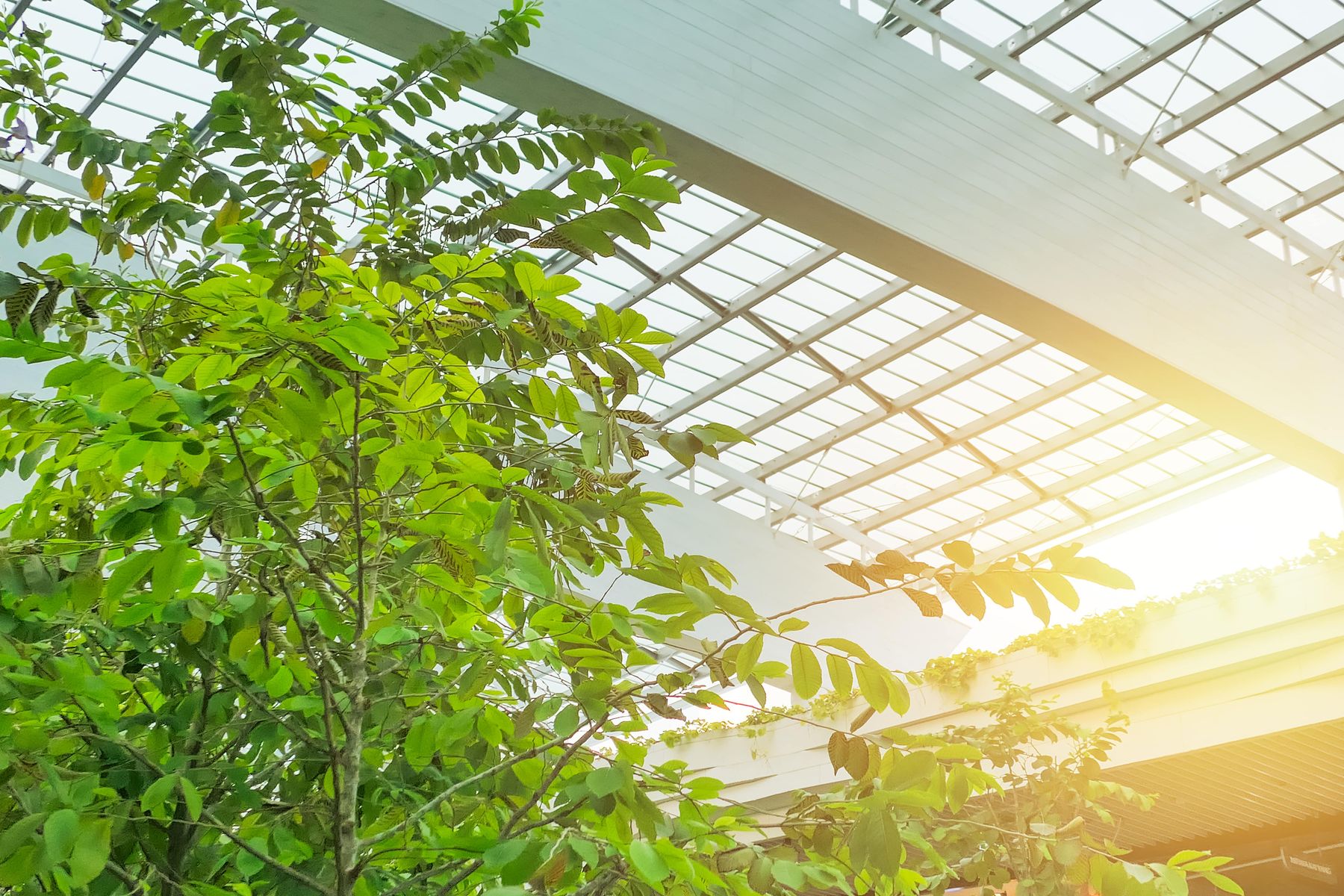 Green space in a company's premises