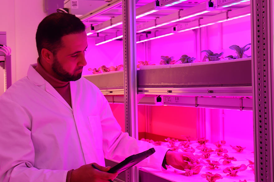 Gad in the verticle farming unit at NTU