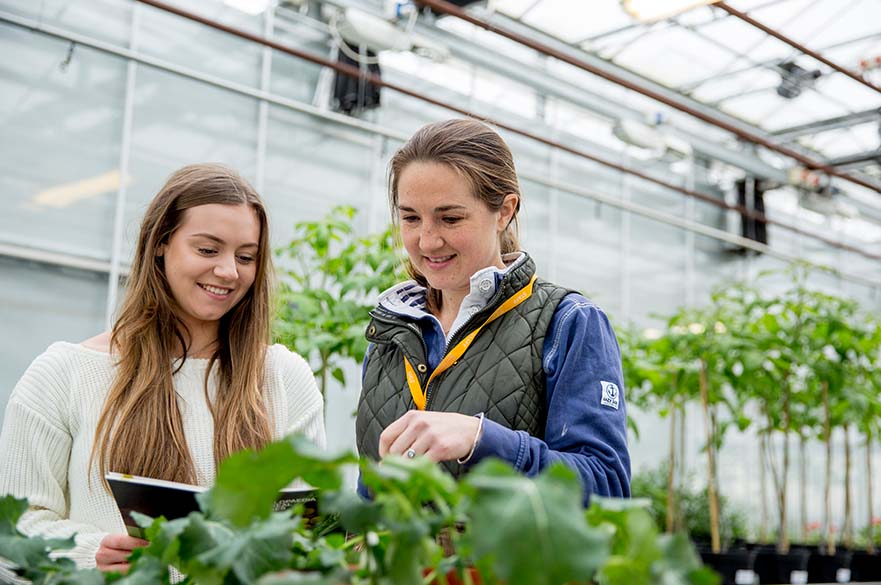 Two students looking through a booklet inside a large greenhouse
