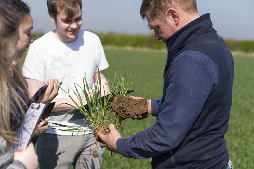 Students examining crops