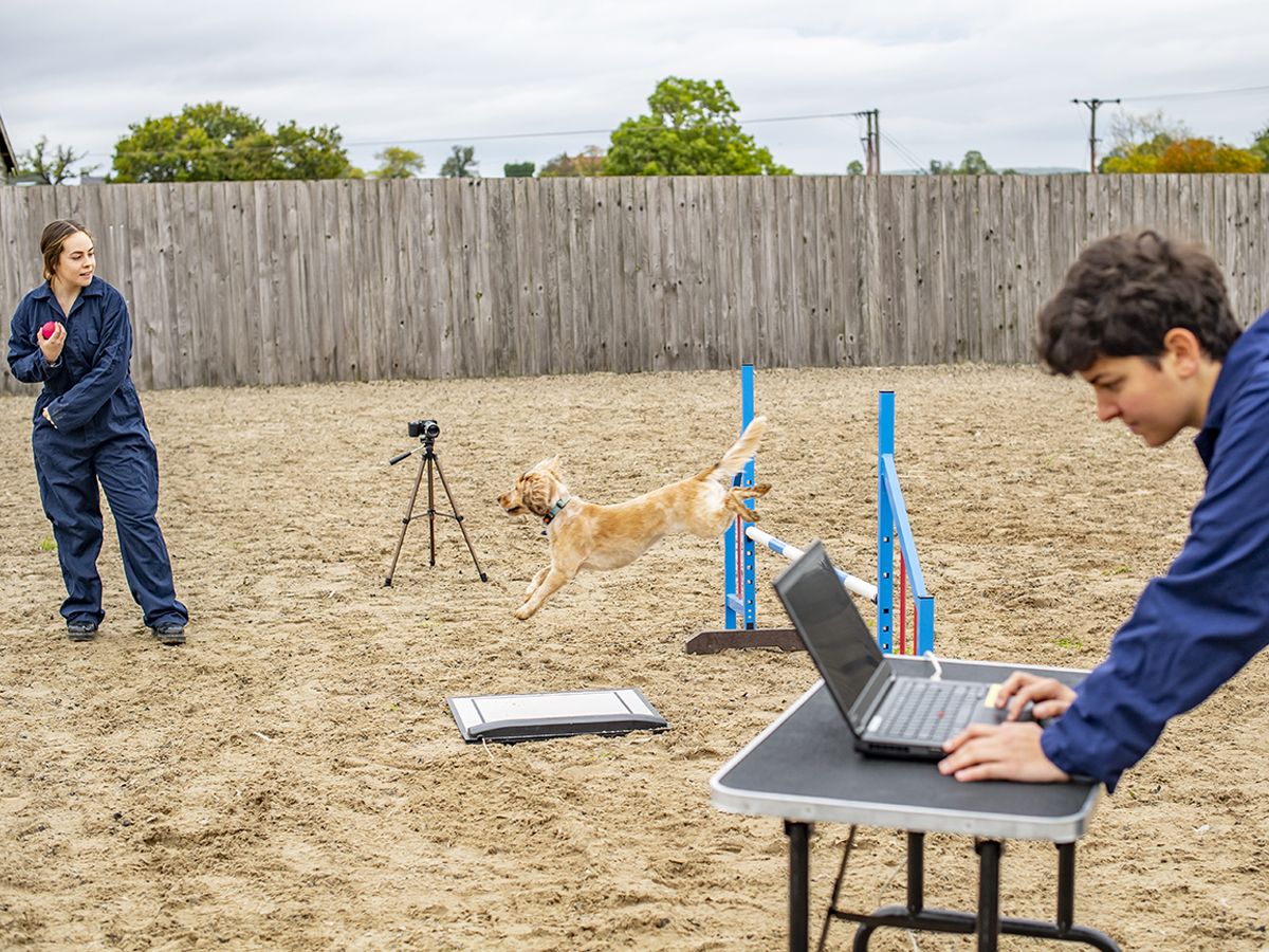 Students in research arena