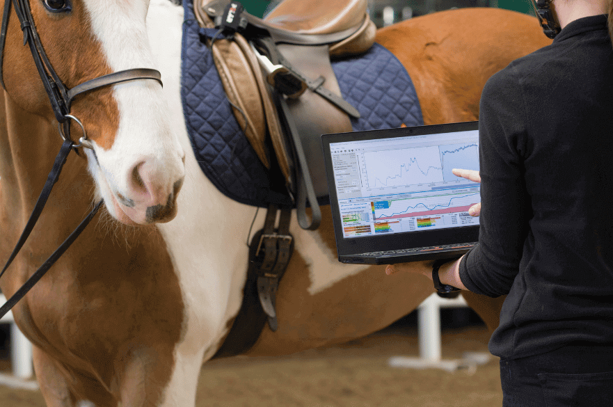 Image of a student look at data from a horse's performance