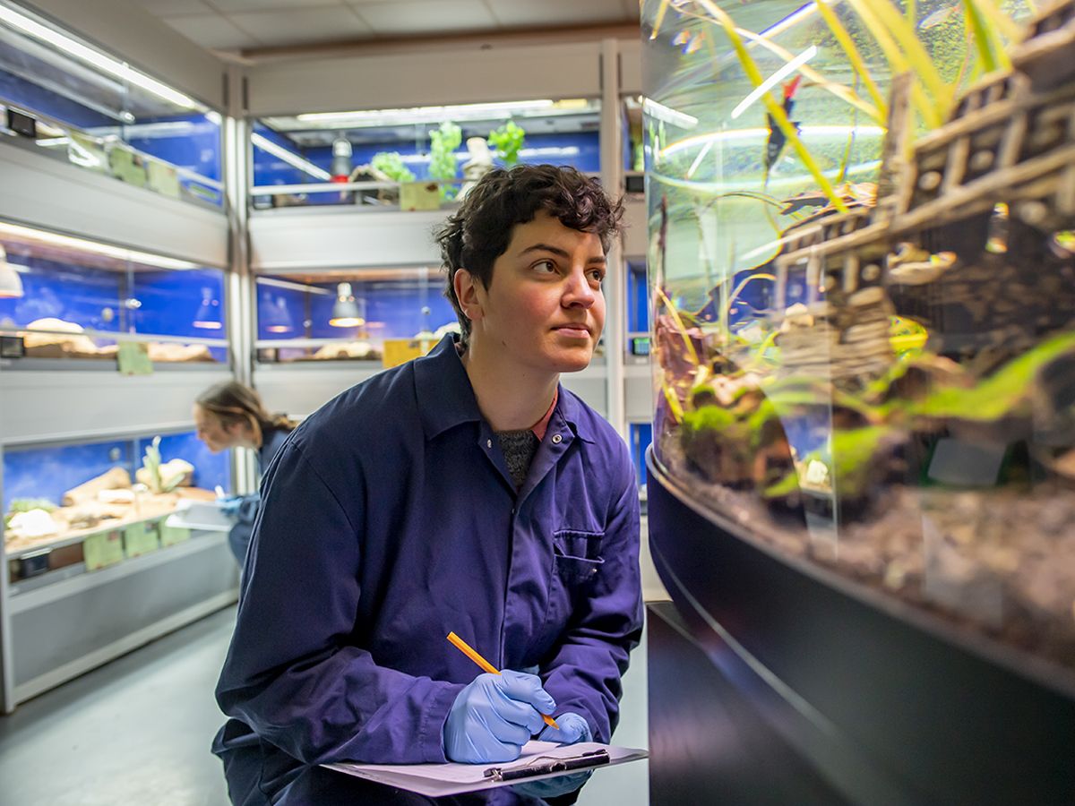 Student looking into fish tank taking notes