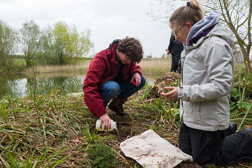 FdSc Wildlife Conservation