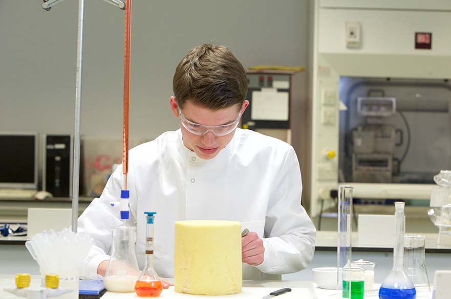 Lab Work