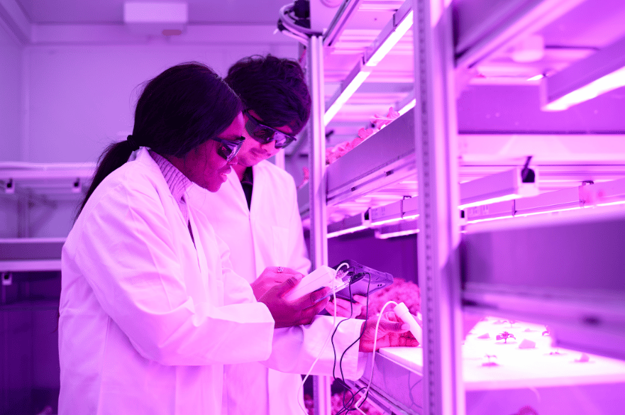Two students monitoring plants in the vertical farm