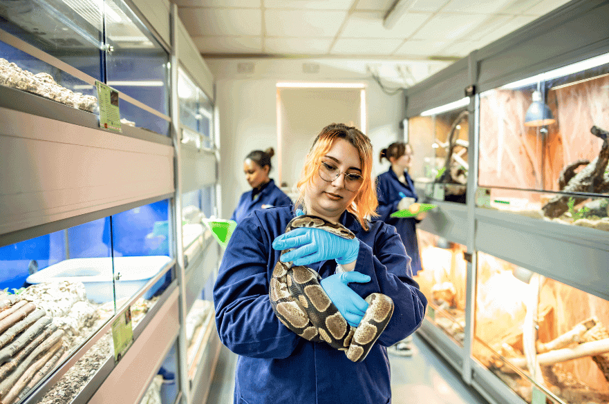 Student holding a snake in the Animal Unit