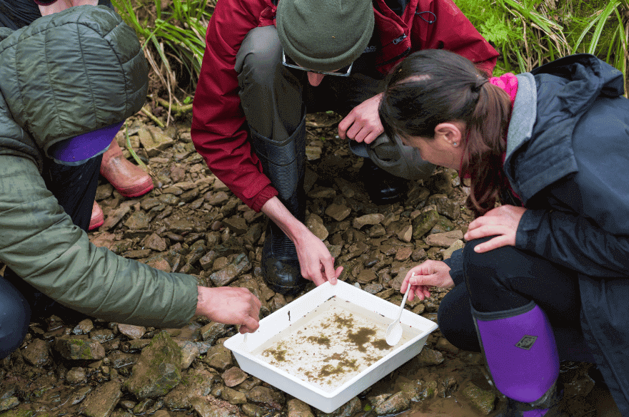 Students sampling water