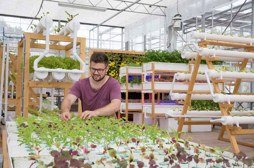 Vertical farming in glasshouses