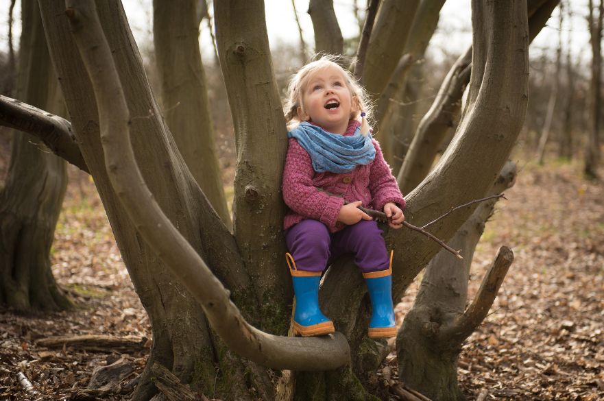 Young girl sitting in a tree