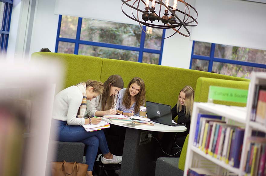 Students studying in Library