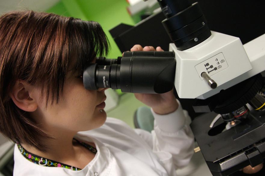 Biomedical Engineering