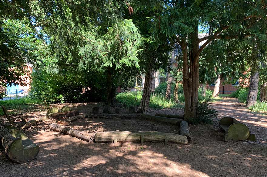 A woodland