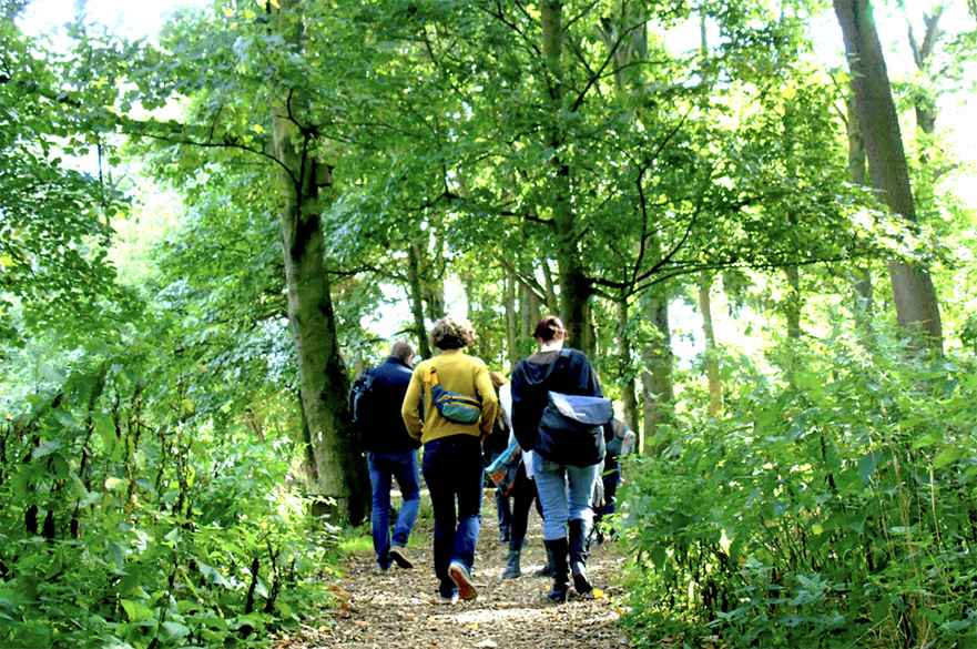 A group of people walking through lush green trees in a forest