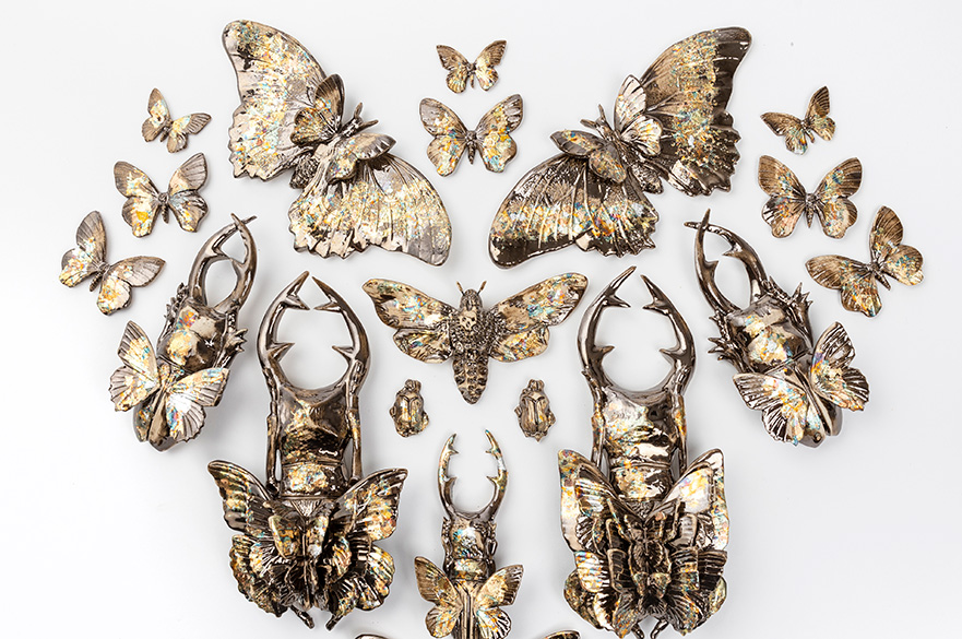 A heart-shaped arrangement of colorful butterflies and beetles displayed against a white background.