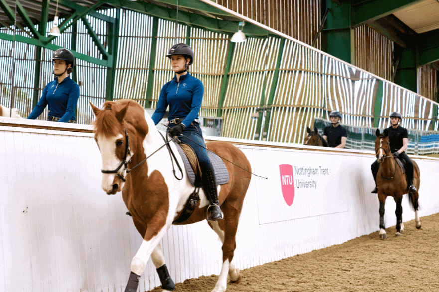 Mary King indoor arena