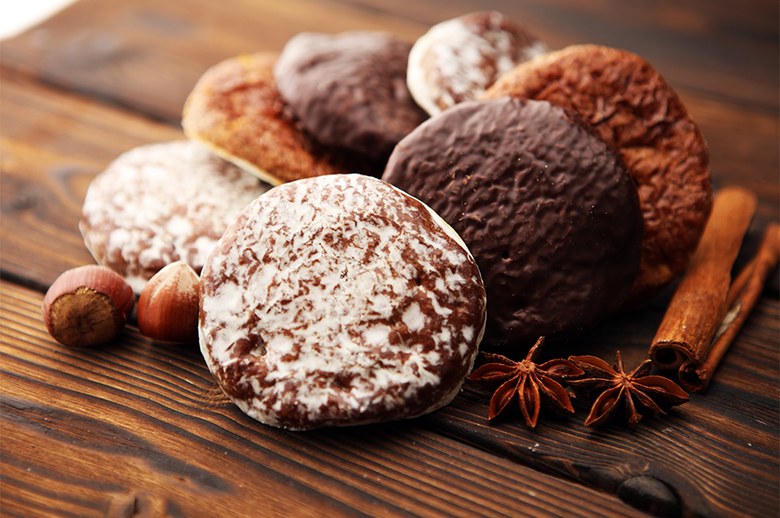 german biscuits lebkuchen