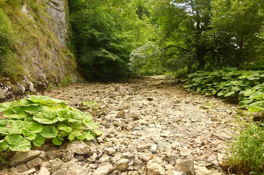 Temporary river
