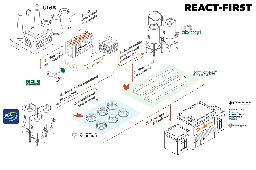 REACT-FIRST partners