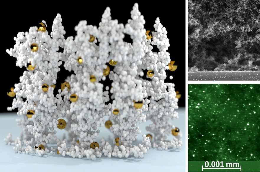 Nanoparticle scaffold