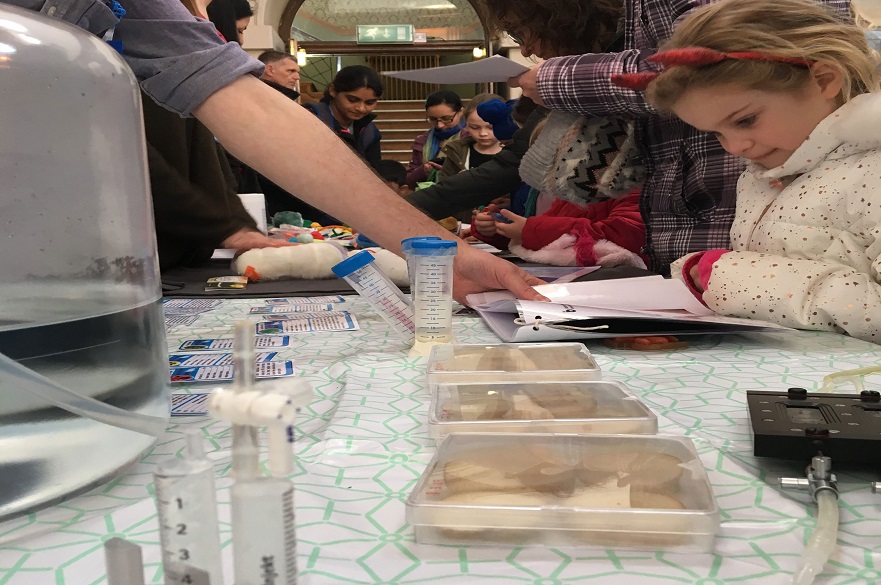 Science in the Park