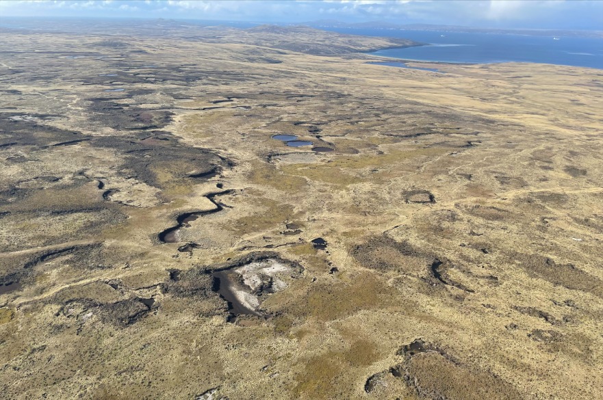 Falklands blanket bog