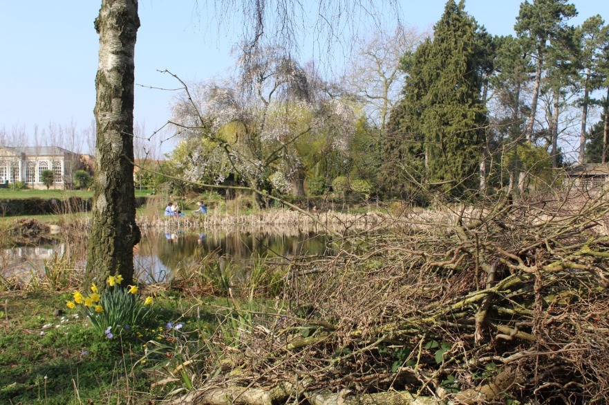 Dew pond at Brackenhurst Campus