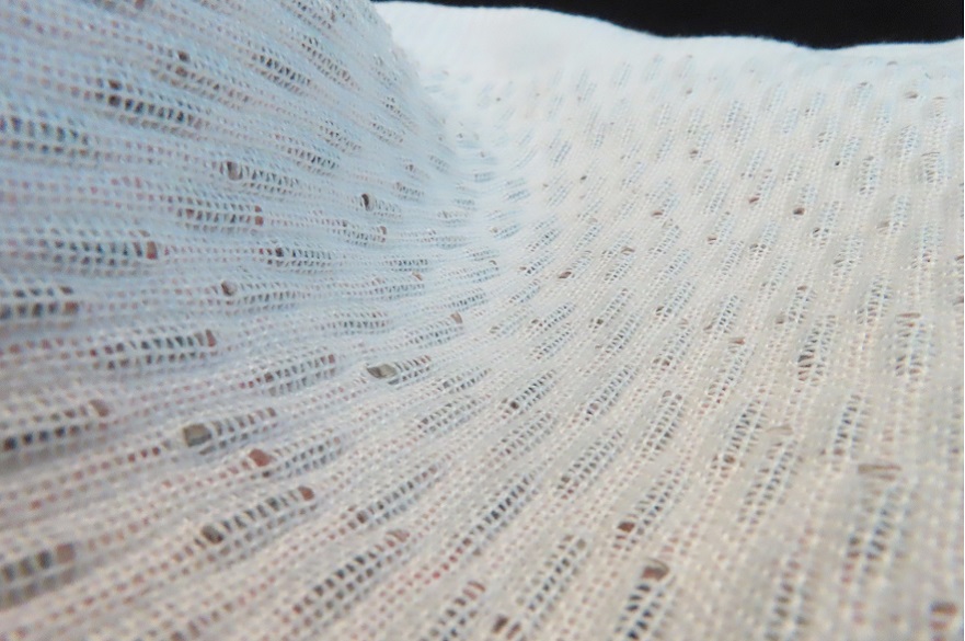 Textiles