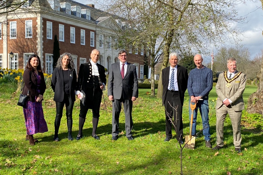 Bramley apple tree US ambassador