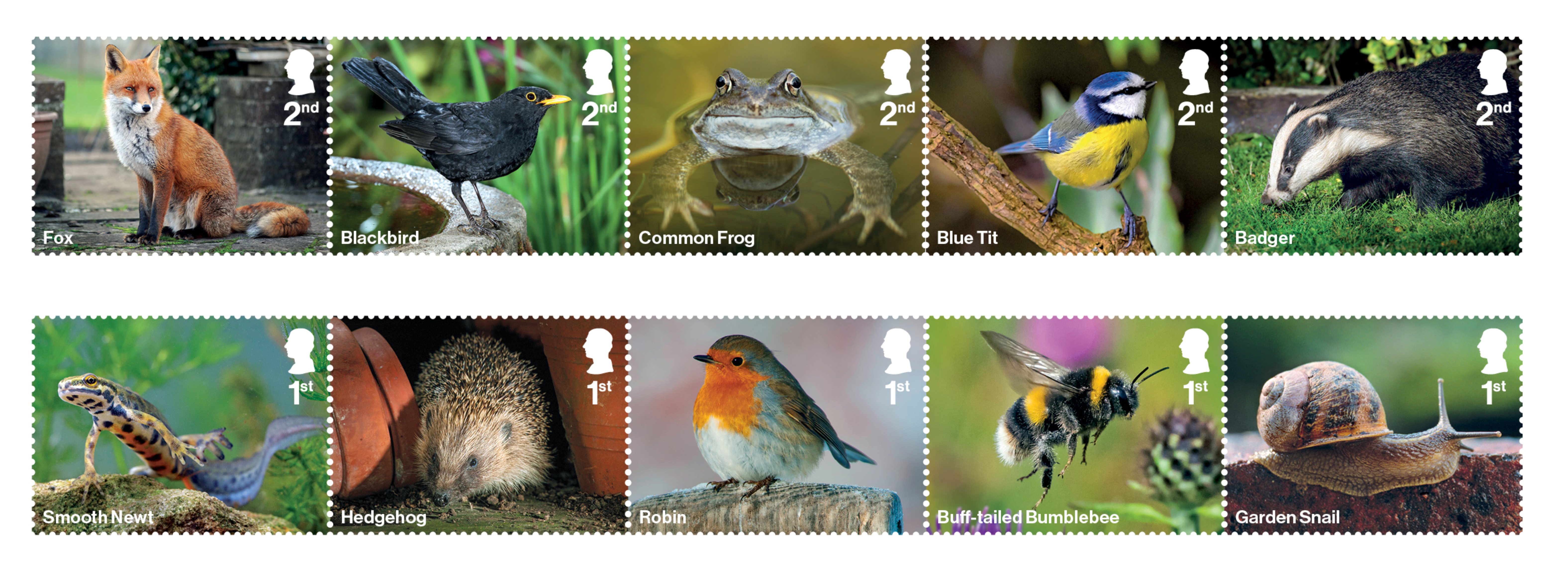 Garden wildlife stamps