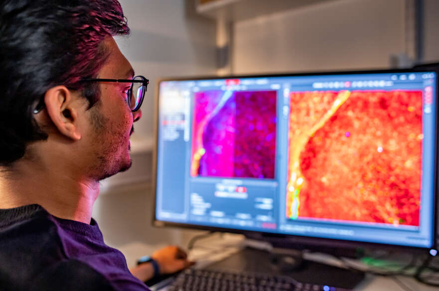 Researcher working