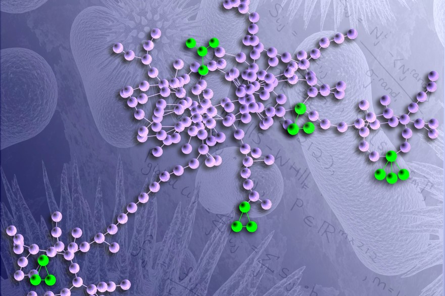 Bioinformatics and Complex Systems groups image.jpg