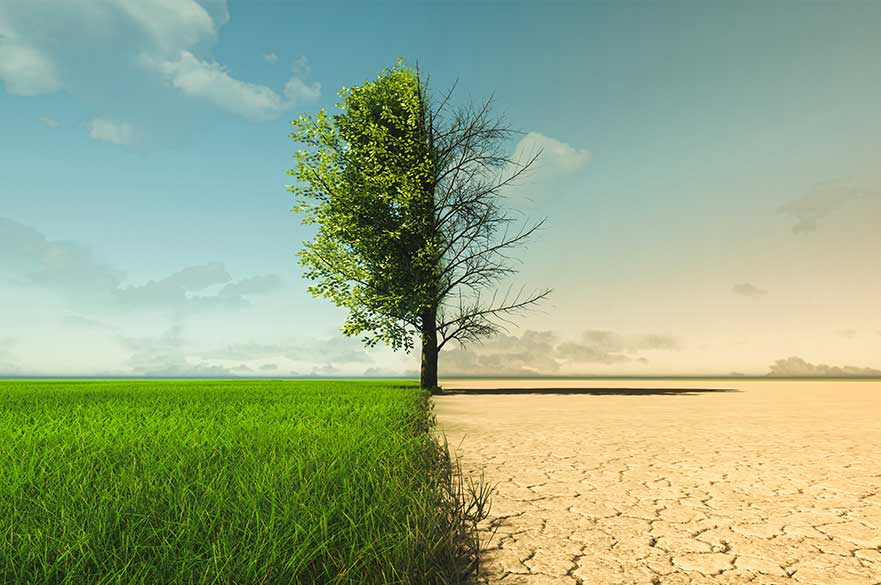 Climate change from drought to green growth