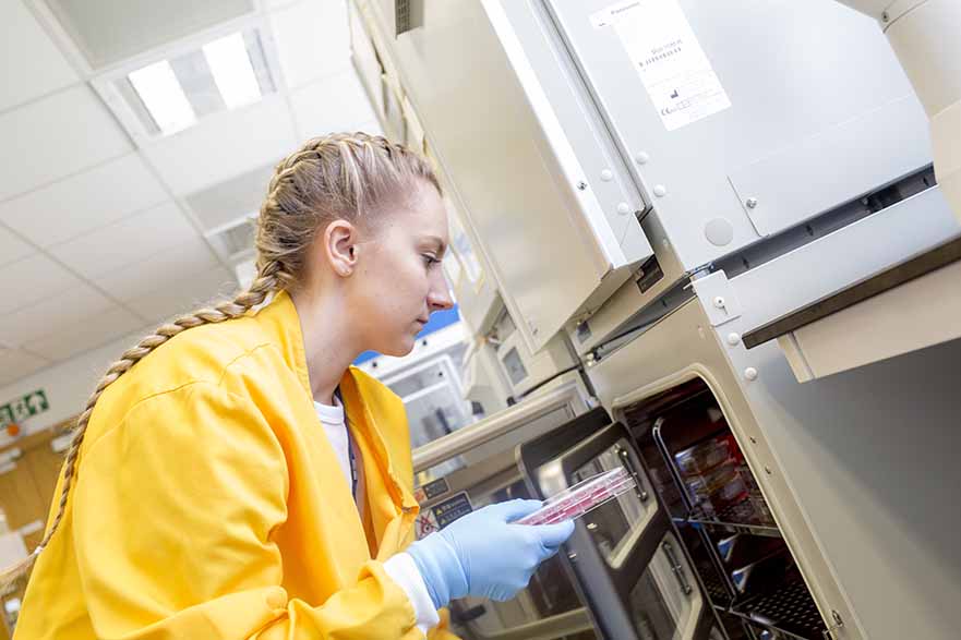 Antimicrobial Resistance