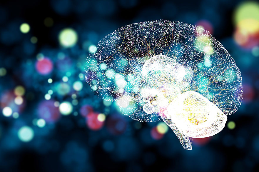 Affect, Personality and the Embodied Brain (APE)