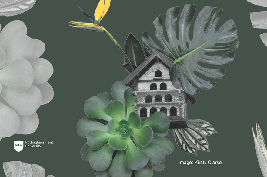Graphical image of a botanical garden by Kirsty Clarke