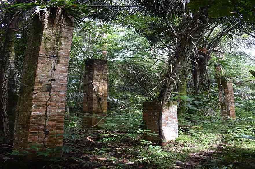Postcolonial Ecologies at Con Son Island