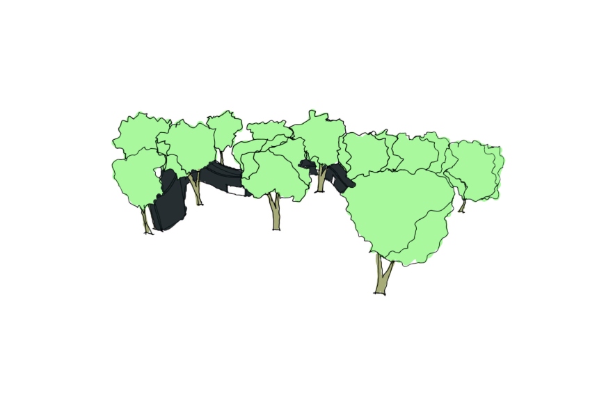 Sketch of trees