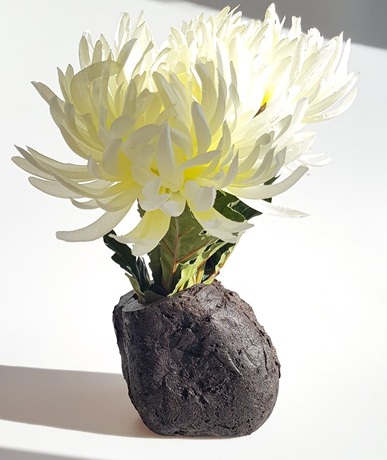 A plant with white petals has been planted in a pot made out of repurposed coffee grounds.